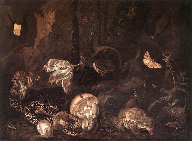 SCHRIECK, Otto Marseus van Still-Life with Insects and Amphibians ar Germany oil painting art